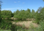 leemgat